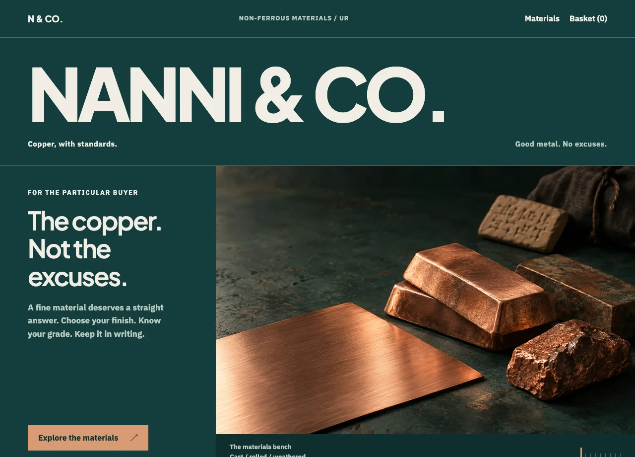 Nanni & Co. fictional website design screenshot